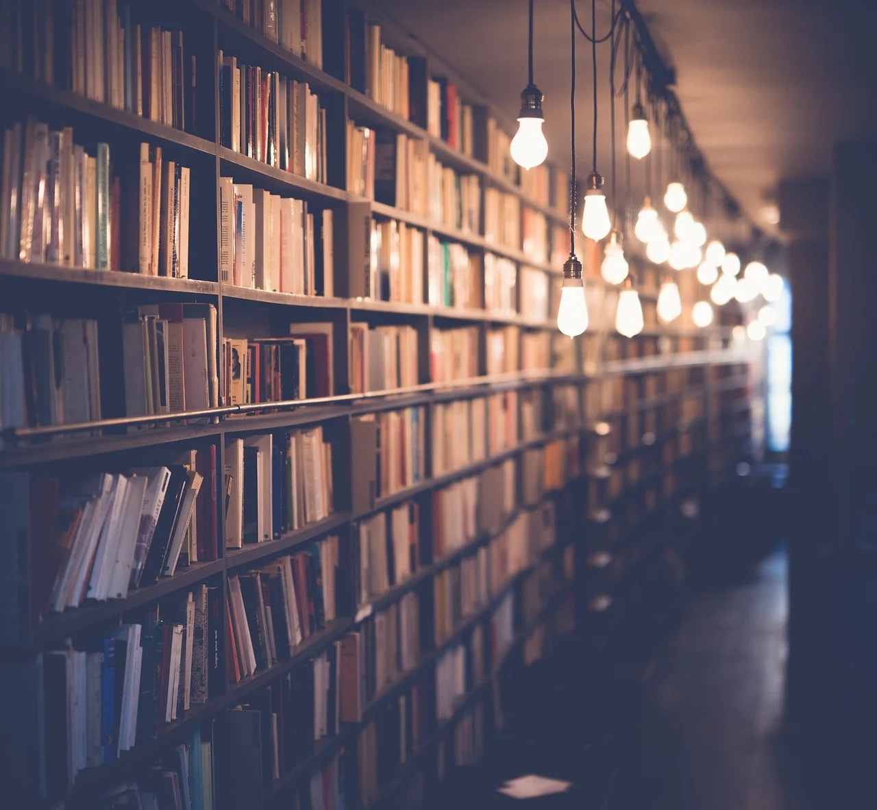 Biblioteka dla dzieci: jak korzystać z biblioteki lokalnej z przedszkolakiem